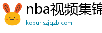 nba视频集锦